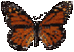 butterfly2.gif